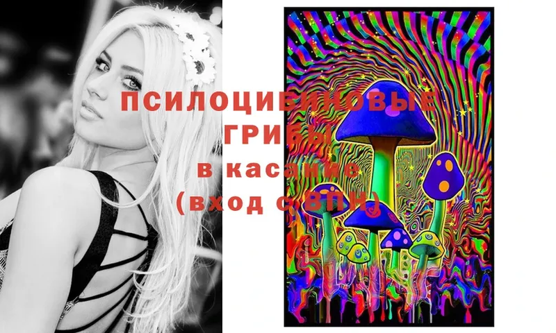 Галлюциногенные грибы Psilocybe  сколько стоит  Заринск 